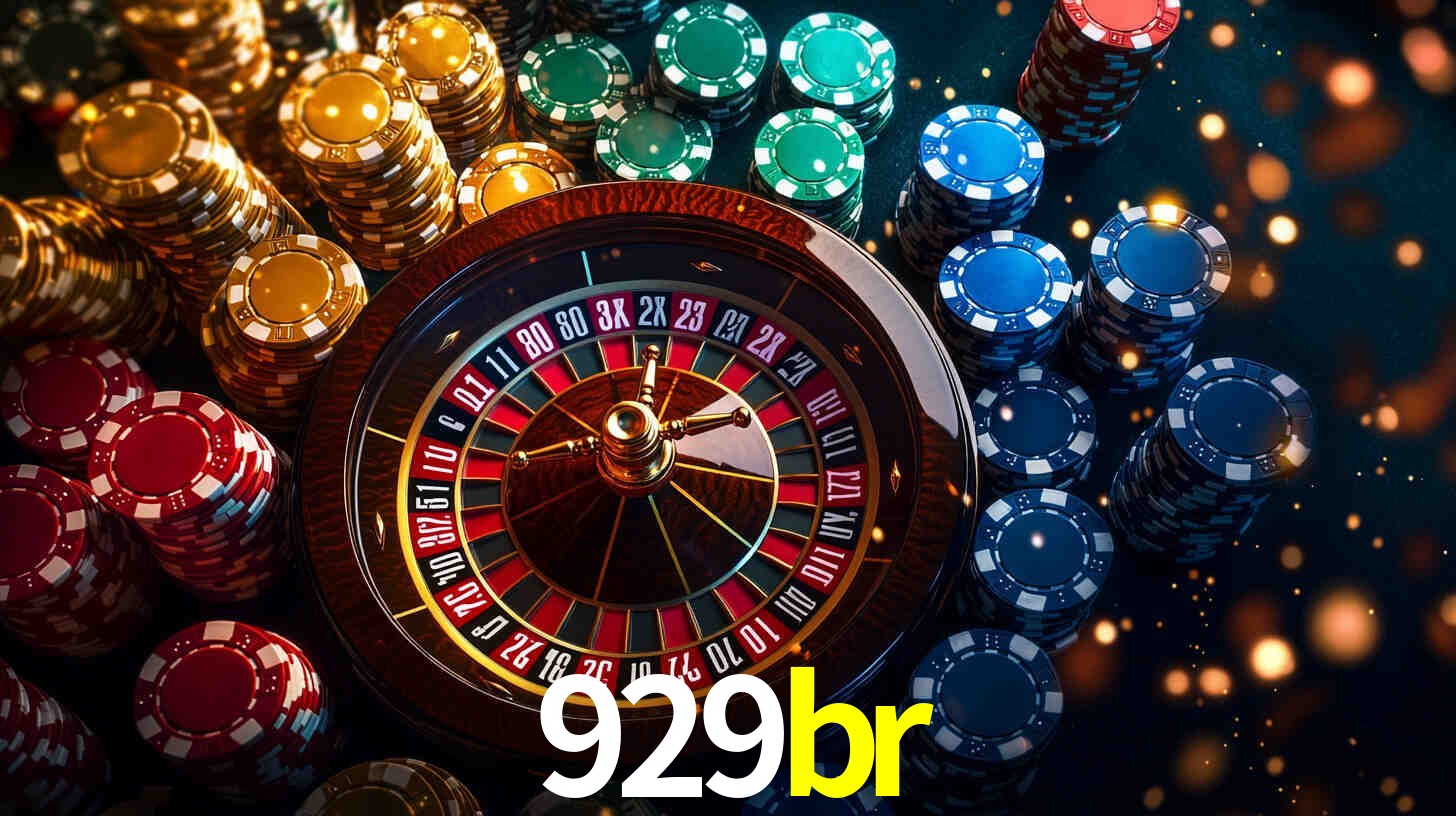929br App Interface